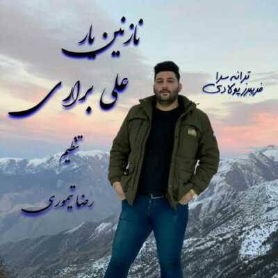 دانلود آهنگ علی براری نازنین یار