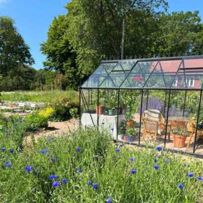 دانلود آهنگ انت تعرف زین کمال یوسف