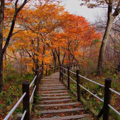 دانلود ریمیکس آقا مهدی مسته (کیفیت عالی MP3) کامل بدون حدفیات اصلی اینستا