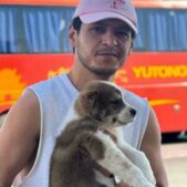 دانلود آهنگ میرجلال نعمت اف دیلبر دانلود آهنگ میرجلال نعمت اف دیلبر