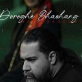 دانلود آهنگ رضا صادقی دروغ قشنگ