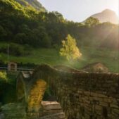 دانلود آهنگ داداشی دنیا شبیه خوابای بچگیمون نیست