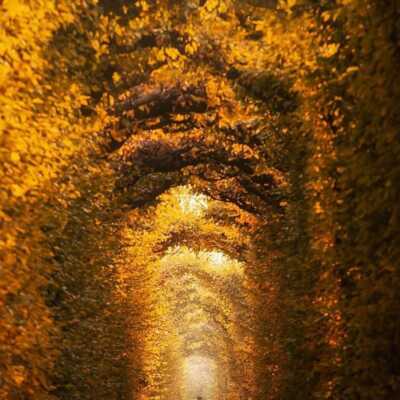 دانلود آهنگ حرصمو در نیار نه نزار این آدما پشتمون انقد حرف درارن