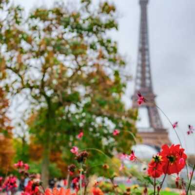 دانلود آهنگ لالا لالایی عشقم کجایی نیستی تا واست بخونم لالایی