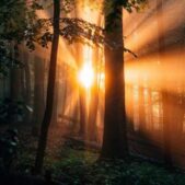 دانلود آهنگ مست شده دیگه ول داده اورژانسیه دافی امداده