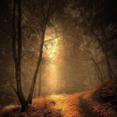 دانلود آهنگ یکی از این شبا بهت میدن خبر مرگمو