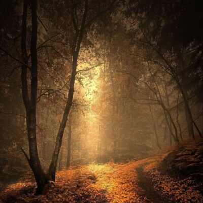 دانلود آهنگ یکی از این شبا بهت میدن خبر مرگمو