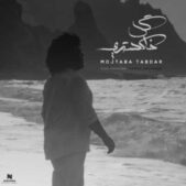 دانلود آهنگ مجتبی تابدار گل خاکستری