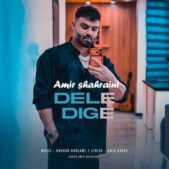 دانلود آهنگ امیر شهرایینی دله دیگه