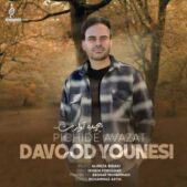 دانلود آهنگ داوود یونسی پیچیده آوازت