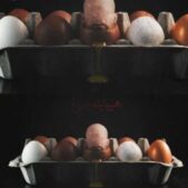 دانلود آهنگ پوریا ادرویت هیپاپلومرغ