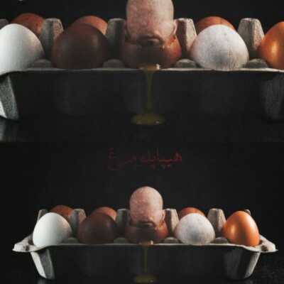 دانلود آهنگ پوریا ادرویت هیپاپلومرغ