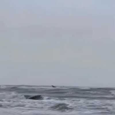 دانلود آهنگ دریا طوفان داره وای باد و باران داره وای دو نسخه Mp3