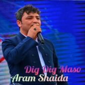 دانلود آهنگ دیگ دیگ مسه