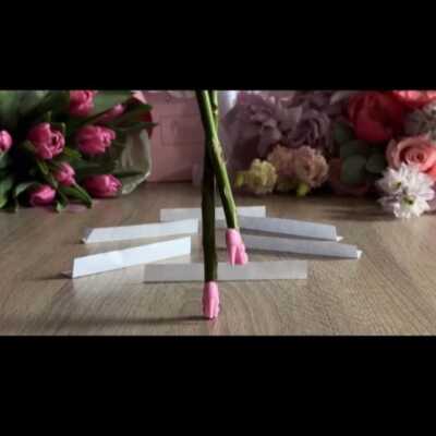 دانلود آهنگ چالش قدم زدن با مداد