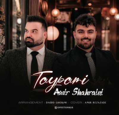 دانلود آهنگ امیر شهرایینی تایپمی