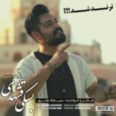 دانلود آهنگ سیامک هنرور بسکی قشهدی