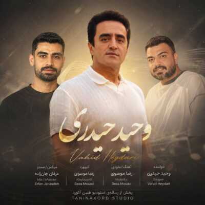 دانلود آهنگ وحید حیدری آ من شه دل قربون