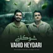 دانلود آهنگ وحید حیدری شو کفنی دانلود آهنگ وحید حیدری شو کفنی