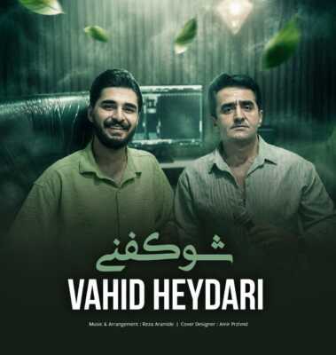دانلود آهنگ وحید حیدری شو کفنی