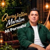 دانلود آهنگ علی پرمهر قارا گوزلوم مارالیم