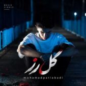 دانلود آهنگ محمد پتی آبادی گل رز