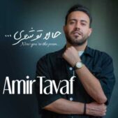 دانلود آهنگ امیر تواف حالا تو شعری دانلود آهنگ امیر تواف حالا تو شعری