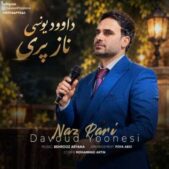 دانلود آهنگ داوود یونسی ناز پری