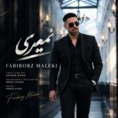 دانلود آهنگ فریبرز ملکی نمیری
