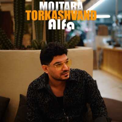 دانلود آهنگ مجتبی ترکاشوند آلفا