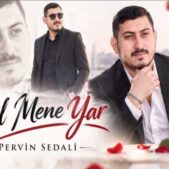 دانلود آهنگ پروین صدالی گل منه یار